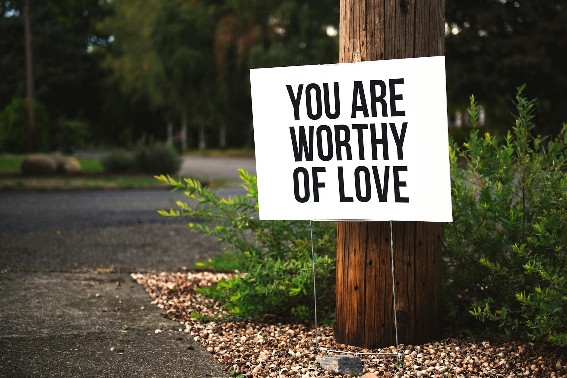 The Power of Self-Worth: Building Lasting Self-Esteem